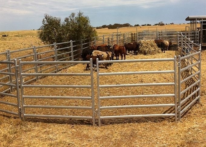 cattle fencing panels 0