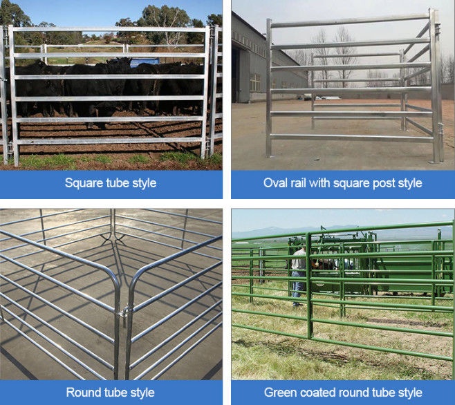 cattle fencing panels 2