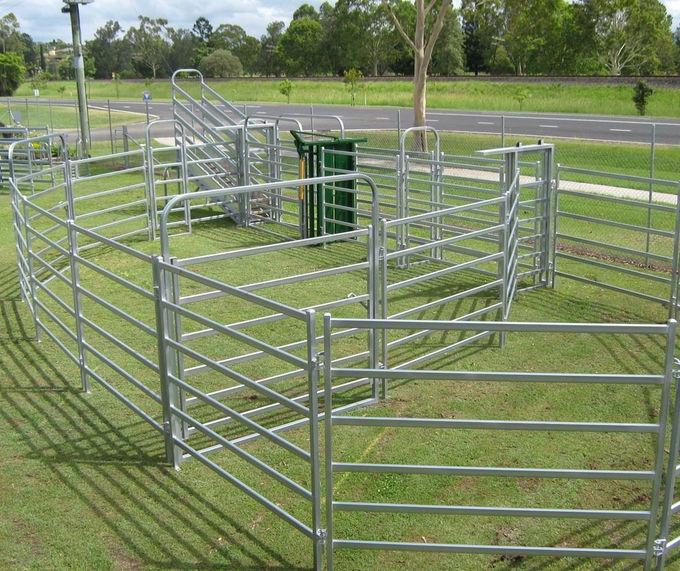 Australia Hot Sale 2.1X1.8m Heavy Duty cattle panel for sale Galvanized cheap