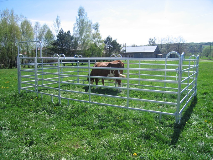 Heavy duty galvanized livestock cattle panel used corral panels 2